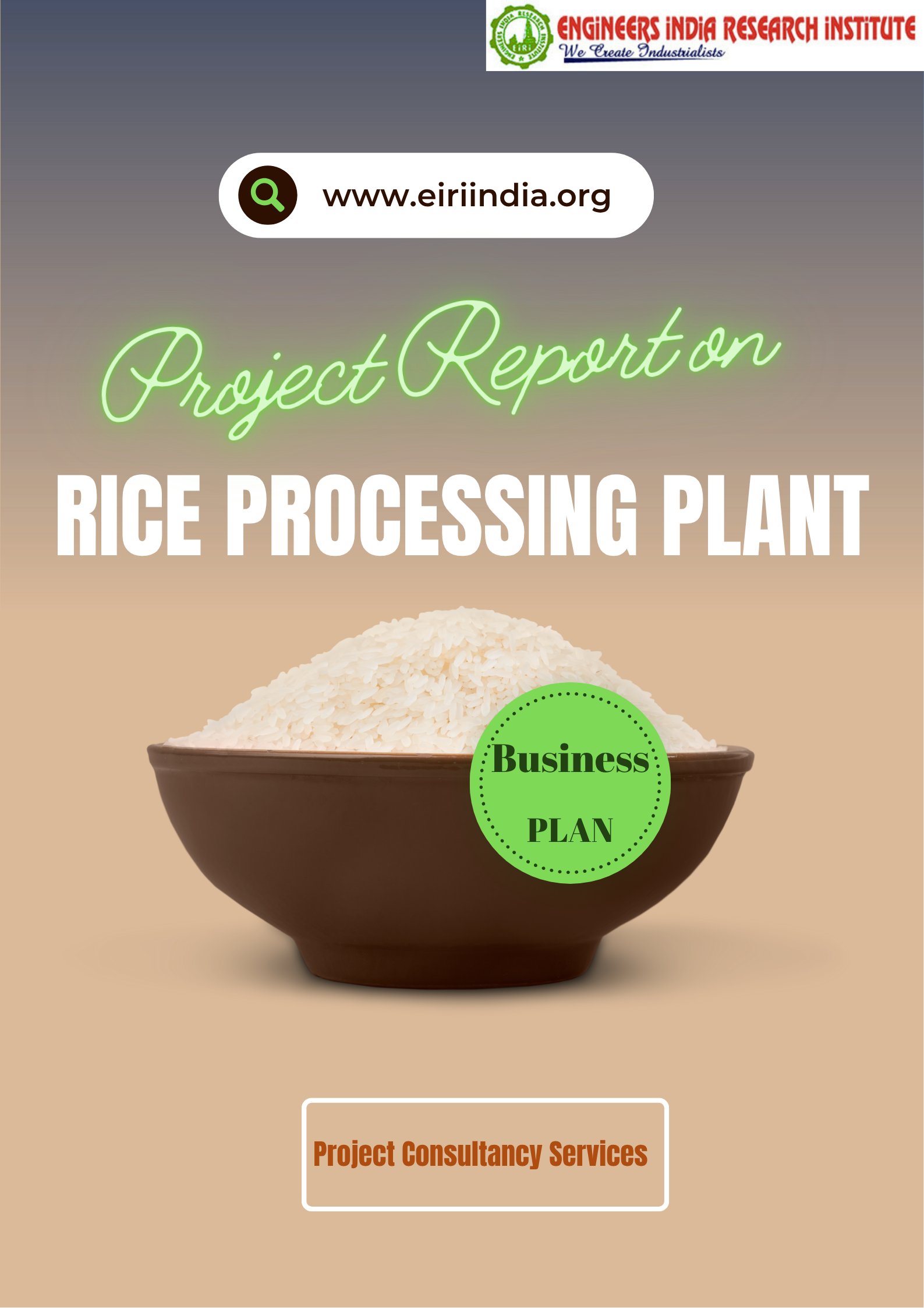 Rice Processing Plant (32 TPH) 